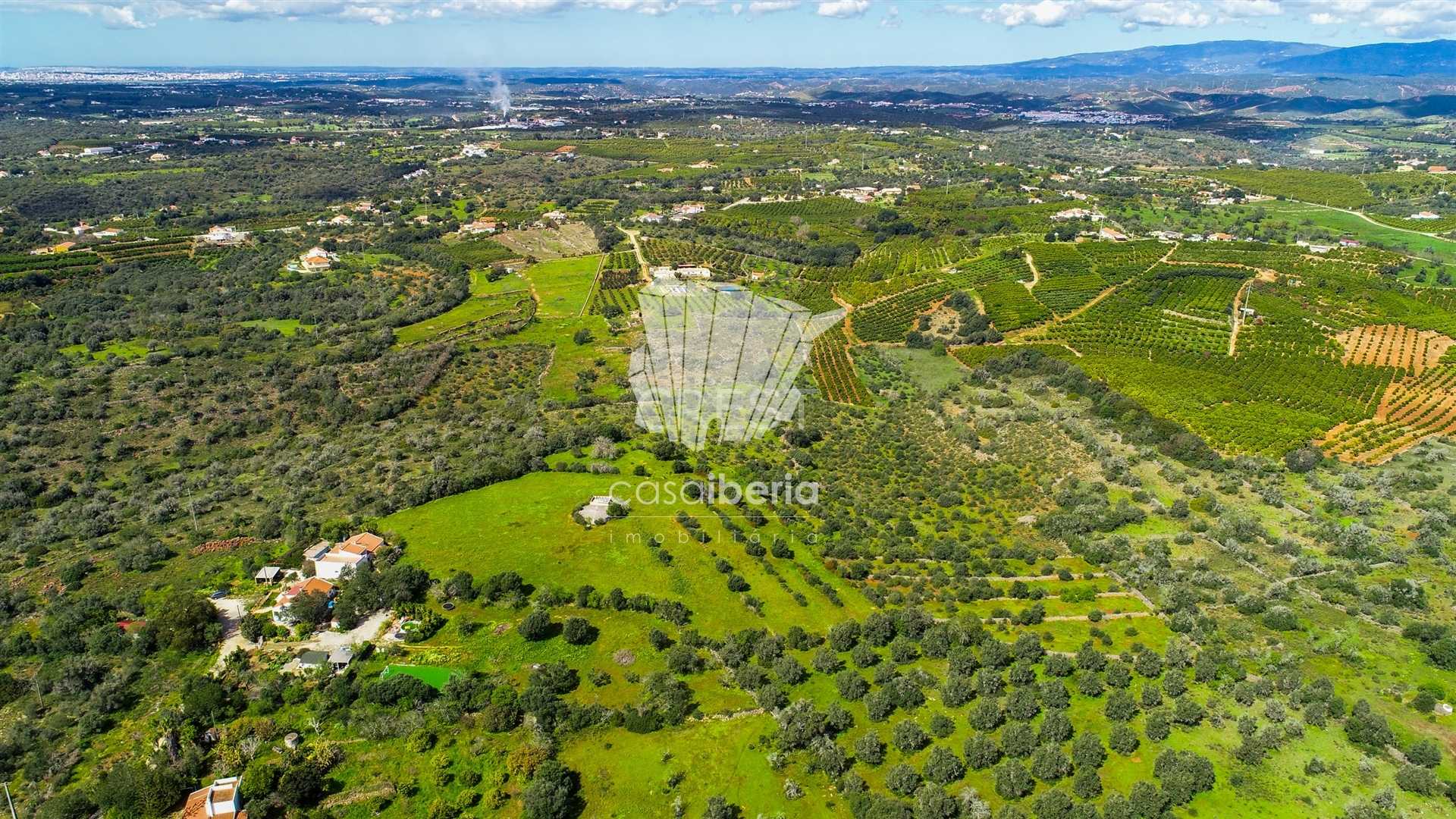 Vista Panorâmica Vista Panorâmica